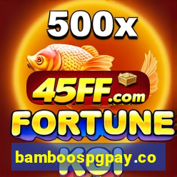 bamboospgpay.com