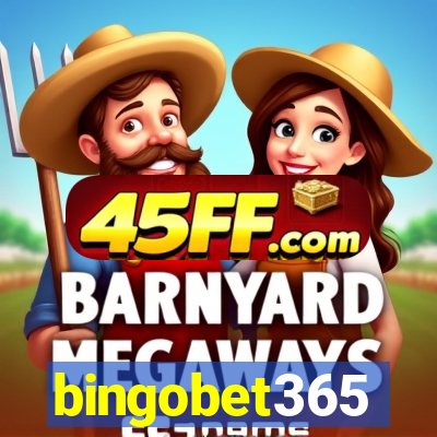 bingobet365