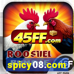 spicy08.com