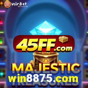win8875.com
